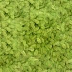 Arroz Vietnam verde