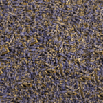 Lavanda