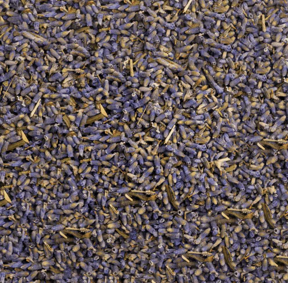Lavandapng Lavanda - Imagen 1