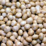 Macadamia cruda