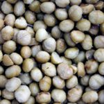 Macadamia frita