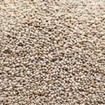 Chia blanca